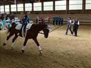 voltitag 2009 _CD1 064